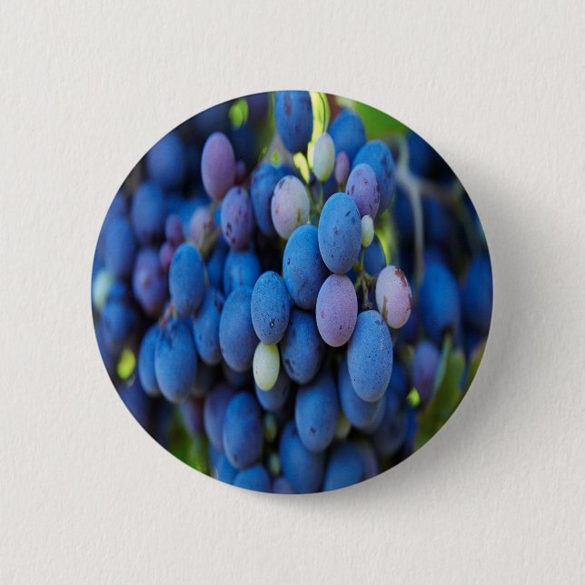 Grapes Pinback Button (Front)