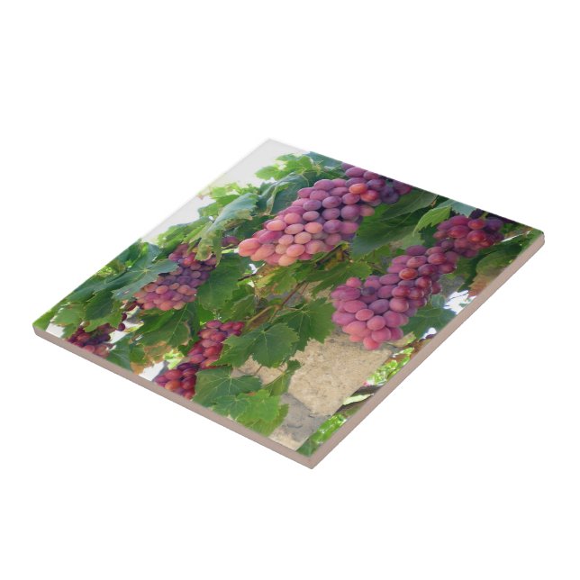 Grapes Print Tile (Side)
