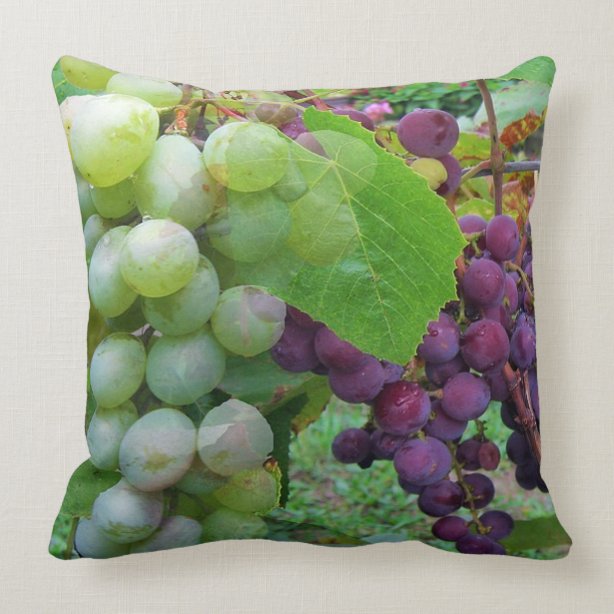 Personalized Grapes Gifts on Zazzle