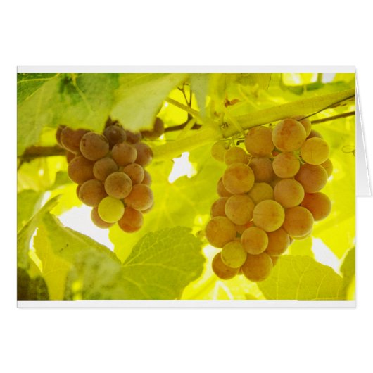 Grapes Vine Fine Art Cards (Front Horizontal)