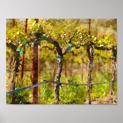 Grapes Vines in Spring Poster