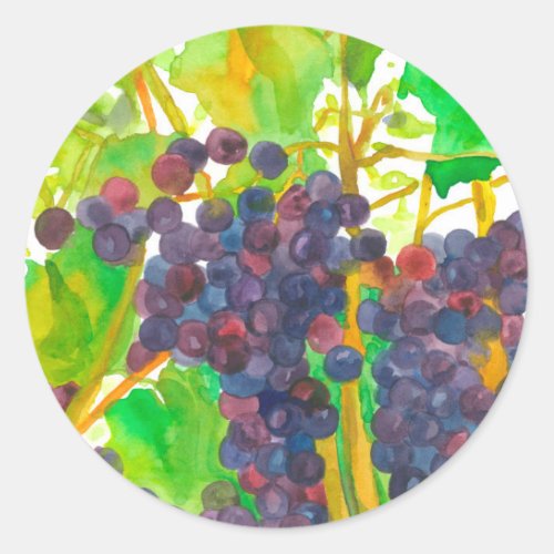 Grapes Vineyard Fruit of the Vine Autumn Classic Round Sticker