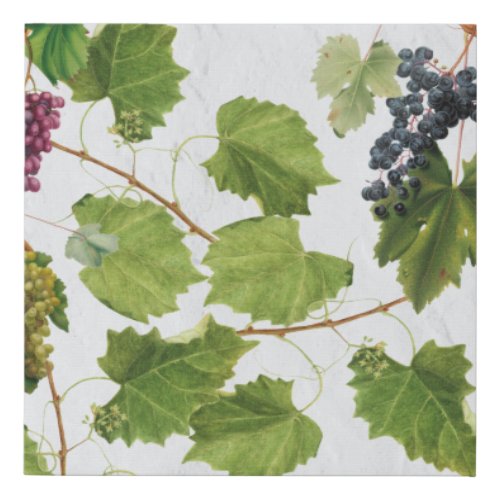 Grapes Vineyard Mediterranean Greek Island  Faux Canvas Print