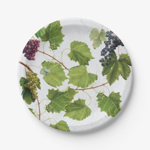 Grapes Vineyard Mediterranean Greek Island Paper Plates