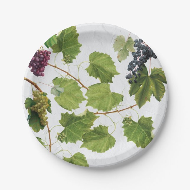 Grapes Vineyard Mediterranean Greek Island Paper Plates (Front)