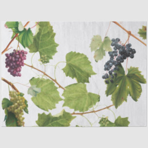 Grapes Vineyard Mediterranean Greek Island Tissue Paper