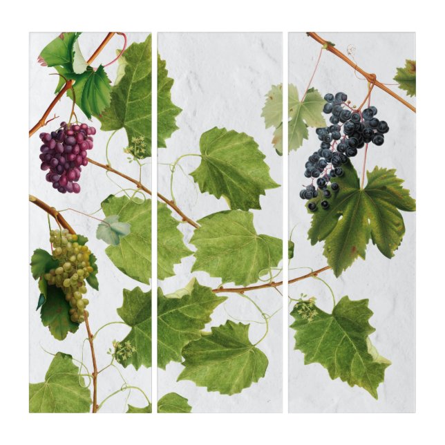 Grapes Vineyard Mediterranean Greek Island   Triptych (Front)