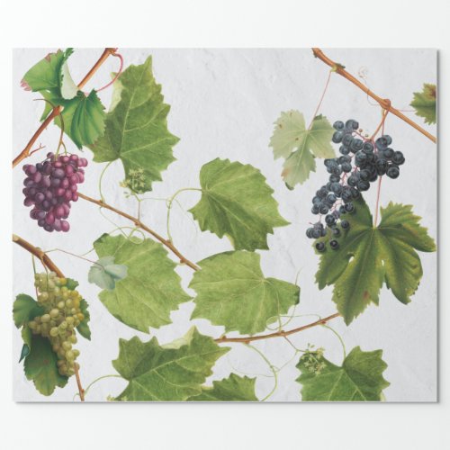 Grapes Vineyard Mediterranean Greek Island Wrapping Paper