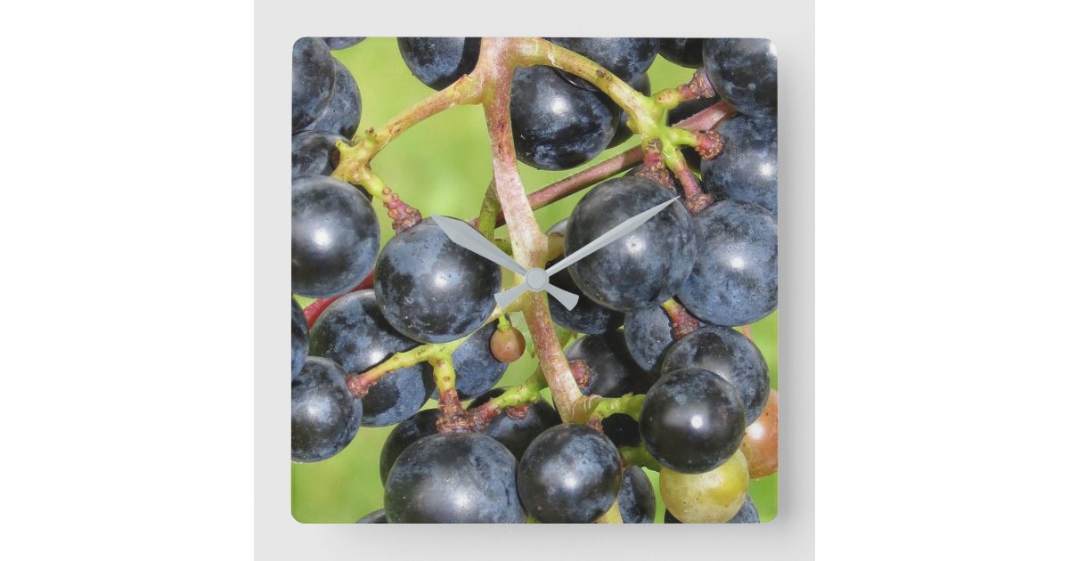 Grapes Wall Clock R50a2fed0a8dd437fbdb8958e876379b9 S0ysc 8byvr 630 ?view Padding=[285%2C0%2C285%2C0]