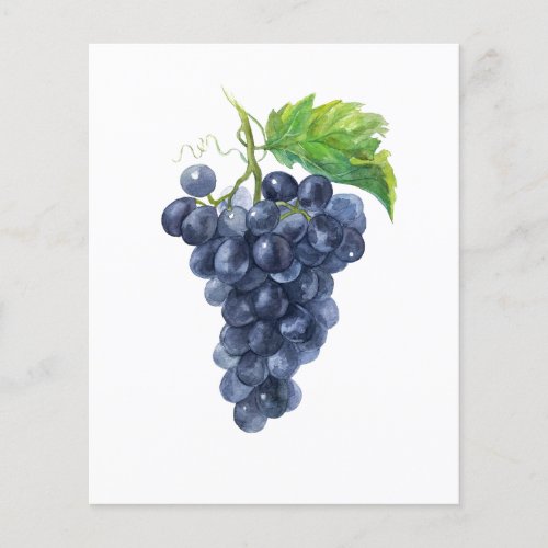 Grapes Watercolor painting Flyer