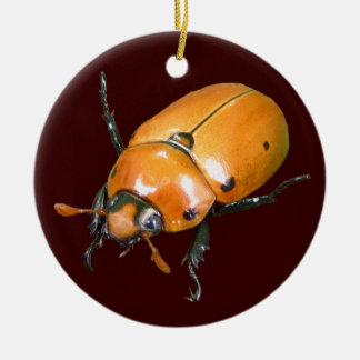 Grapevine Beetle ~ ornament