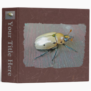 Grapevine Beetle (Pelidnota punctata) Binder