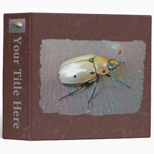 Grapevine Beetle (Pelidnota punctata) Binder (Front/Spine)