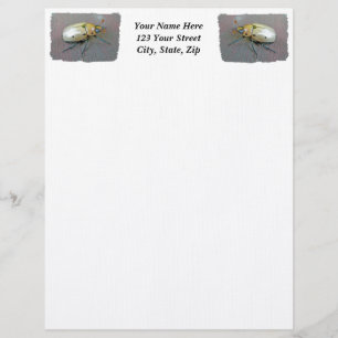 Grapevine Beetle (Pelidnota punctata) Letterhead