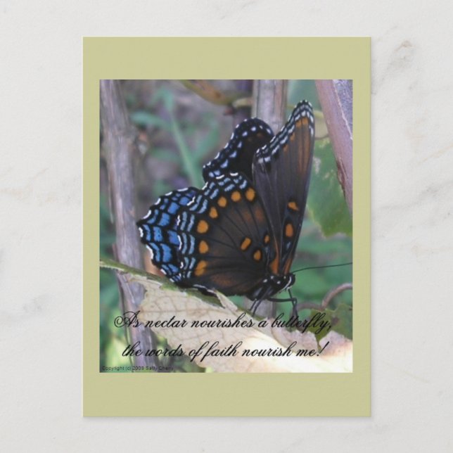 Grapevine Butterfly w/ Verse Postcard (Front)