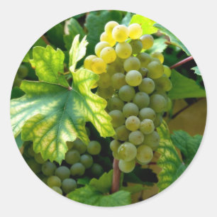 Grapevine Classic Round Sticker