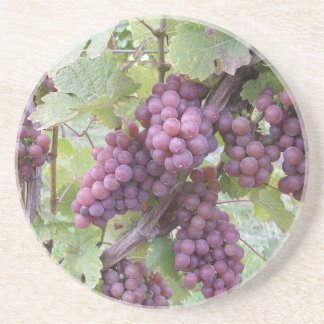 Grapevine Coaster