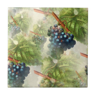 Grapevine Concord Grapes Mediterranean Ceramic Tile
