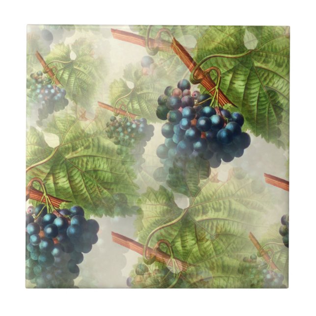 Grapevine Concord Grapes Mediterranean  Ceramic Tile (Front)