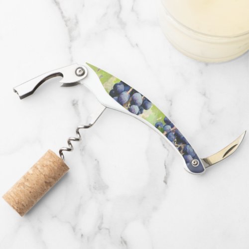 Grapevine Corkscrew