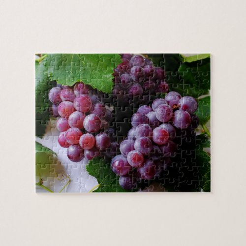 Grapevine Fruit Photography Jigsaw Puzzle