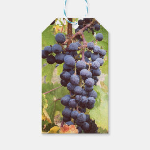 Grapevine Gift Tag
