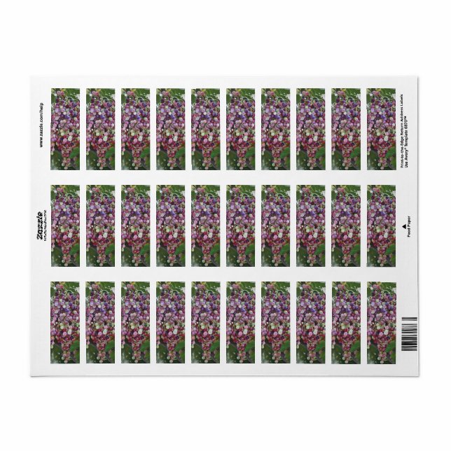Grapevine Glory — Hyperrealistic Vineyard Art for  Label (Full Sheet)
