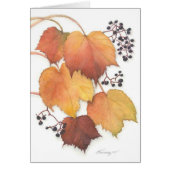 Grapevine in Autumn (Front)