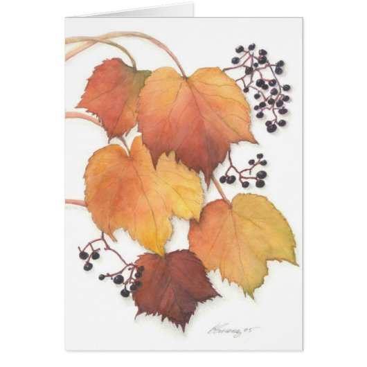 Grapevine in Autumn Cards (Front)