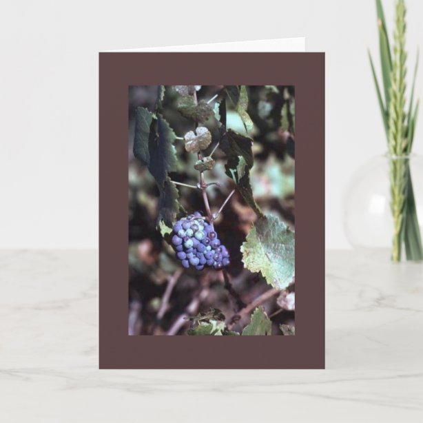 Grapes Cards | Zazzle