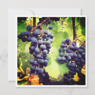 Grapevine Note Card