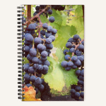 Grapevine Notebook (Hard Cover)