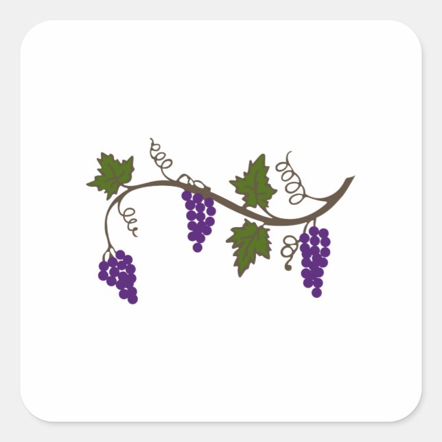 GRAPEVINE SQUARE STICKER (Front)