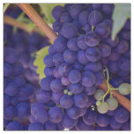 Grapevine Themed, Purple Grapes Grow On A Vine Wit Fabric
