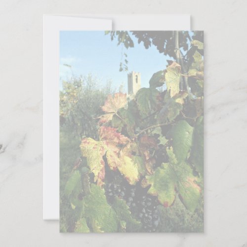 Grapevine, Tuscany, Italy Invite