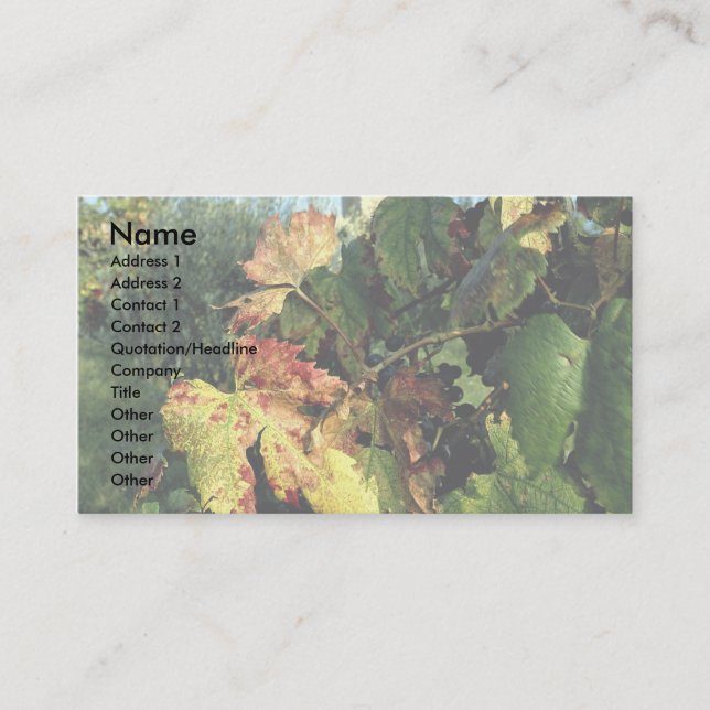 Grapevine, Tuscany, Italy Business Card (Front)