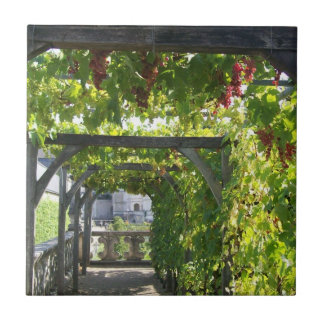 Grapevines at Villandry Ceramic Tile