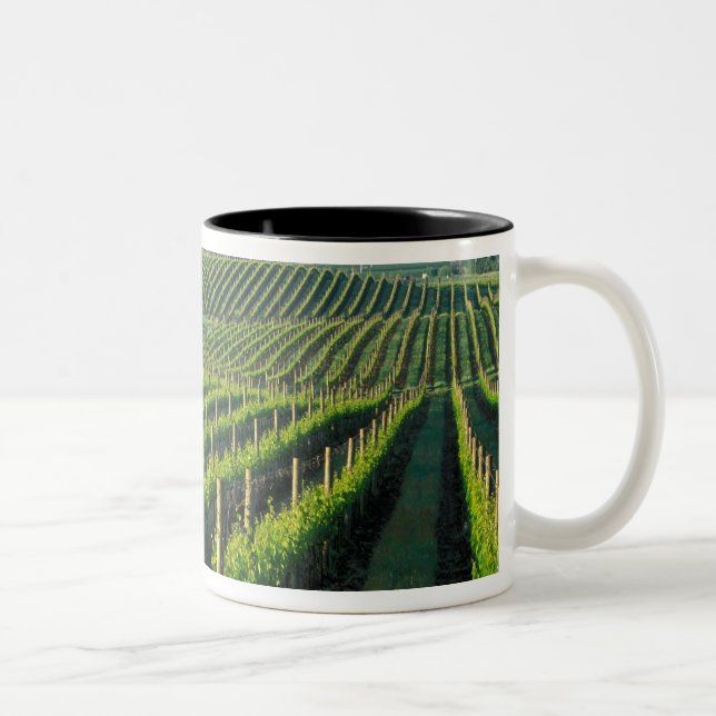 Grapevines in neat rows in California's Napa Two-Tone Coffee Mug (Right)