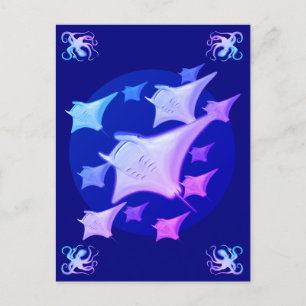 Graphic Design Manta Ray Lover Postcard
