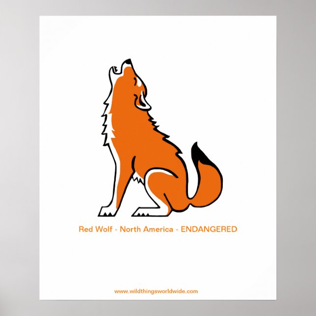 Graphic howling Red Wolf - Endangered animal- Poster (Front)