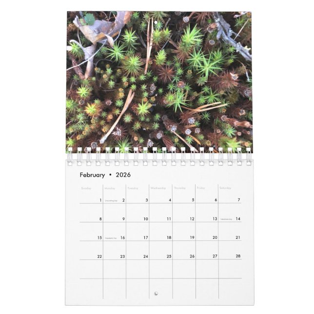 Graphic photo calendar (Feb 2026)