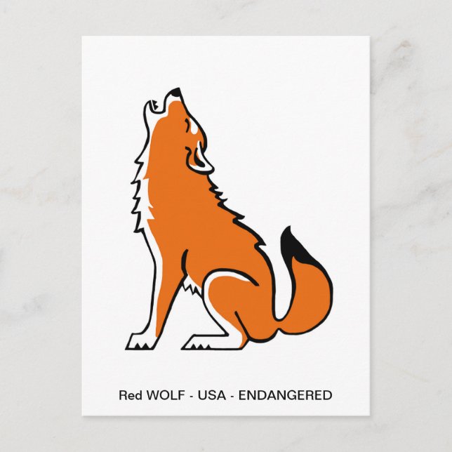  Graphic Red WOLF- Animal lover- Nature - Wildlife Postcard (Front)