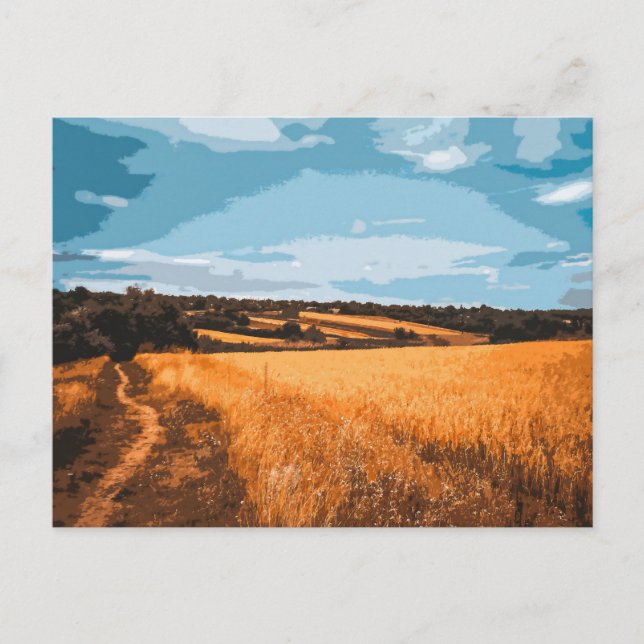 Graphic Summer Field Country Road View Postcard (Front)