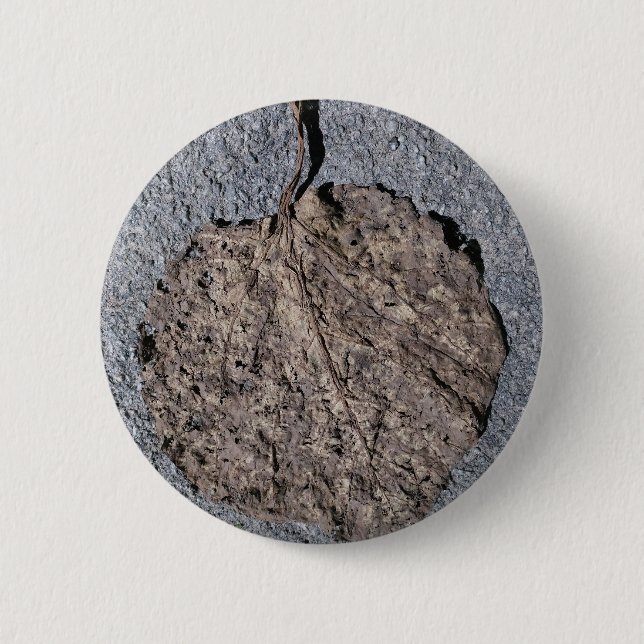 Graphic/Textured Button (Front)