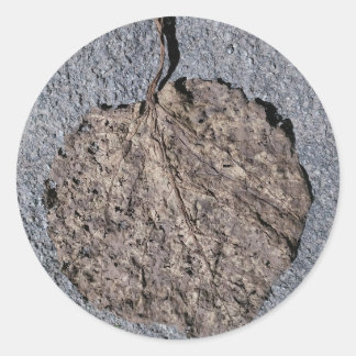 Graphic/Textured Classic Round Sticker