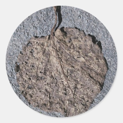 Graphic/Textured Classic Round Sticker