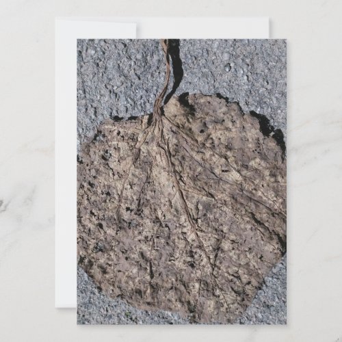 Graphic/Textured Invitation