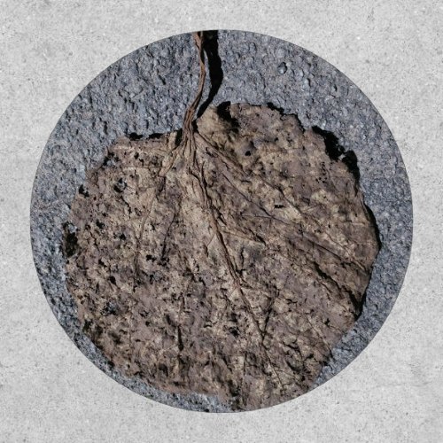 Graphic/Textured Patch