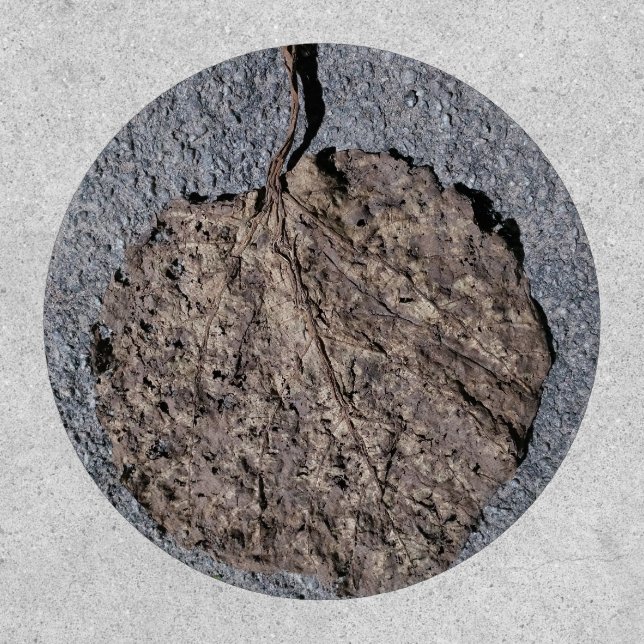 Graphic/Textured Patch (Front)