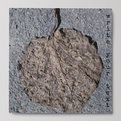 Graphic/Textured Peel And Stick Photo Tile